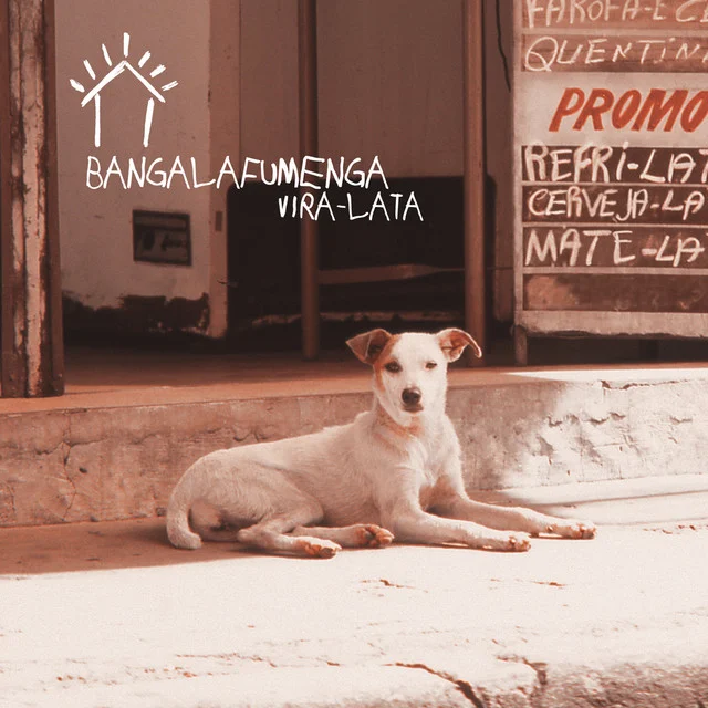 Capa de Vira-Lata