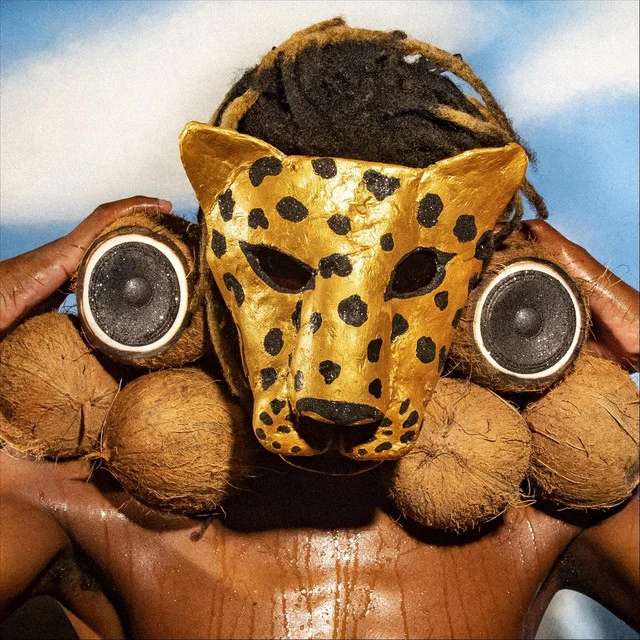 Capa de Coquinho